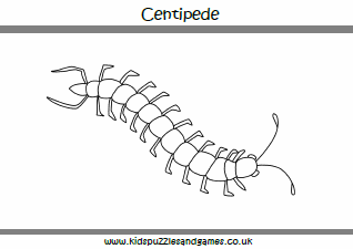 millipede coloring pages