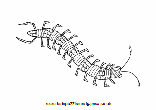 millipede coloring pages