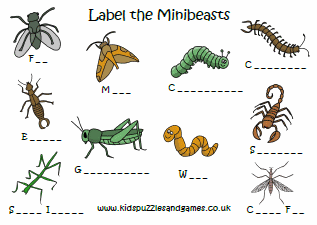 Minibeasts Kids Puzzles And Games