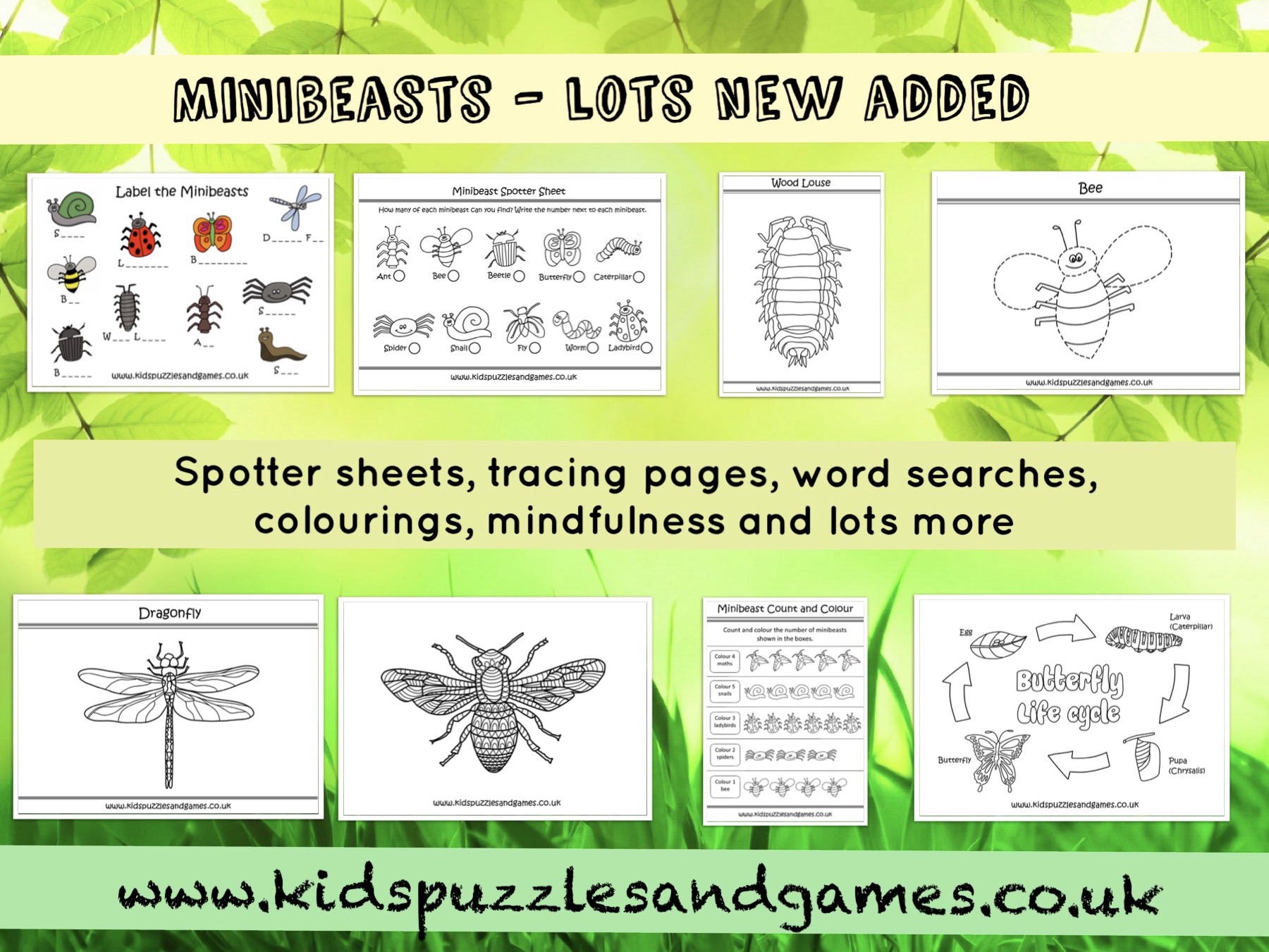 More added to our popular minibeasts theme 