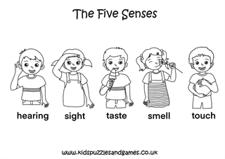 the five senses coloring pages