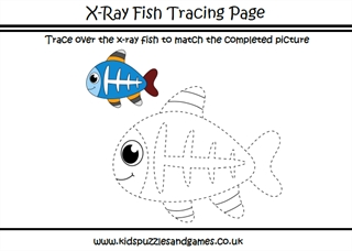 X Ray Fish Trace and Colour - Kids Puzzles and Games
